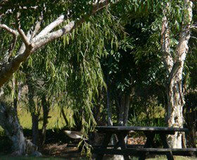 Casino NSW Winery Find