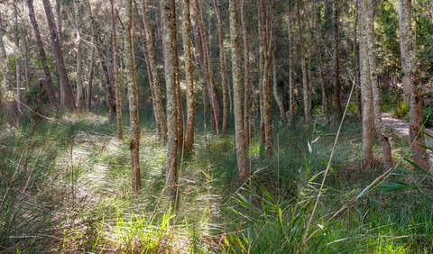 Anabranch Loop Track - Winery Find 0