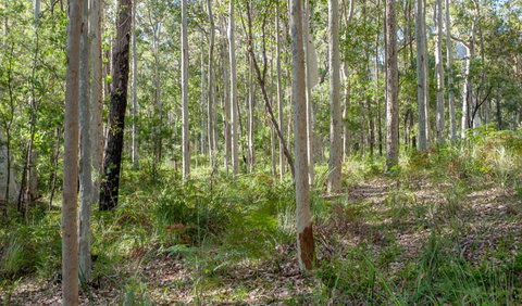 Anabranch Loop Track - Winery Find 2
