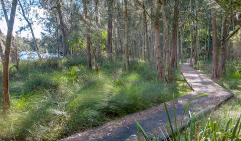 Anabranch Loop Track - Winery Find 3