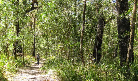 Seven Mile Beach National Park - Winery Find 2