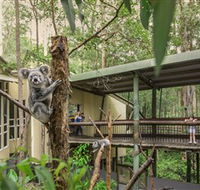 Daisy Hill Koala Centre - Winery Find