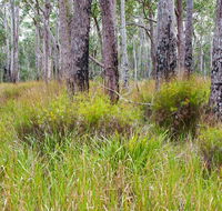 Narrawallee Inlet walking track - Winery Find