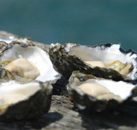 Jim Wilds Oyster Service - Winery Find