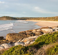 Burrawang track - Conjola Beach to Buckleys Point - Winery Find