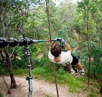 TreeTop Challenge - Winery Find