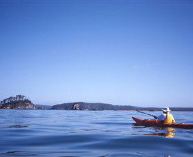 Kayaking Batemans Bay - Winery Find 0
