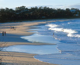 Mollymook Beach - Winery Find 1