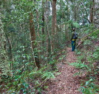 Blackbutt walking track - Winery Find