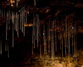 Tamborine Mountain Glow Worm Caves - Winery Find 0