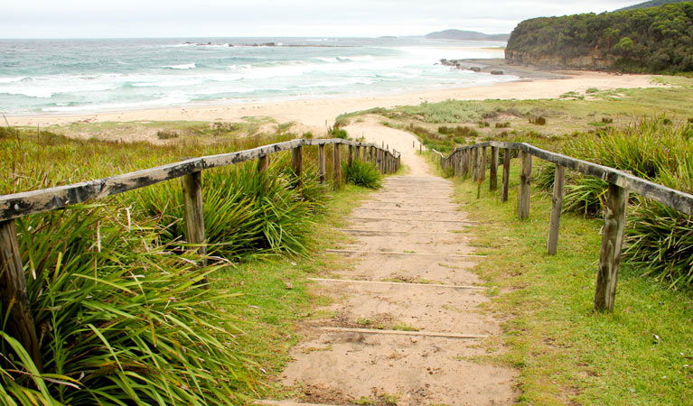 Pretty Beach NSW Winery Find
