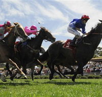 Moruya Racecourse - Winery Find