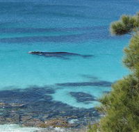 Jervis Bay Marine Park - Winery Find