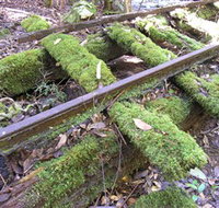 Wootton Historical Railway Walk - Winery Find