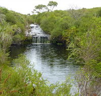 Booderee National Park Green Patch and Telegraph Creek Walking Tracks - Winery Find