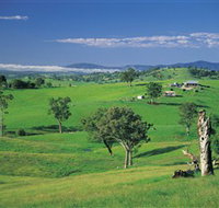 Bemboka - Winery Find