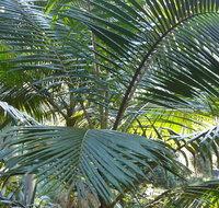 Bangalore Falls walking track - Winery Find