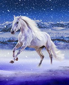 Australian Outback Spectacular: High Country Legends - Winery Find 1