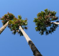 Bindarri National Park - Winery Find