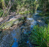Dawson River walking track - Winery Find
