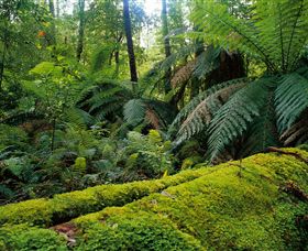 Club Terrace VIC Winery Find