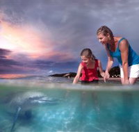 Tangalooma Dolphin Feeding - Winery Find