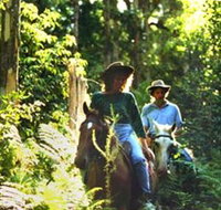 Clarendon Forest Retreat Horse Riding - Winery Find