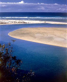 One Tree Point Lookout And Picnic Area - Winery Find 1