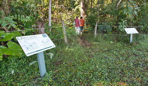 Rainforest Walk - Winery Find 0
