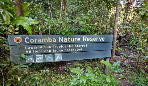 Rainforest Walk - Winery Find 1