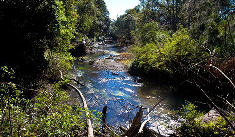Rainforest Walk - Winery Find 2