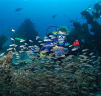 Aarhus Dive Site - Winery Find