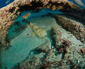 Aarhus Dive Site - Winery Find 3