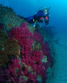 Aarhus Dive Site - Winery Find 2