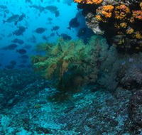 Henderson Rock Dive Site - Winery Find