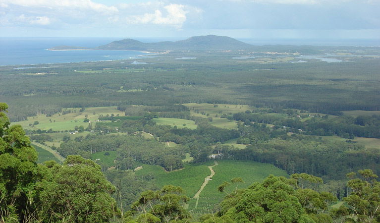 Way Way NSW Winery Find