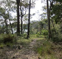 Ringlands Rotary Walk Narooma - Winery Find