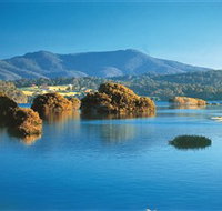 Wagonga Picnic Area - Winery Find