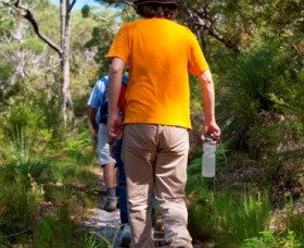 Naree Budjong Djara National Park - Winery Find 3