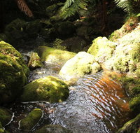South East Forests National Park - Winery Find
