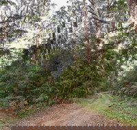 End Peak walking track - Winery Find