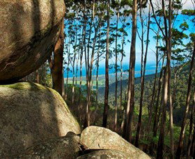 Mount Gulaga (Mount Dromedary) Walk - Winery Find 0