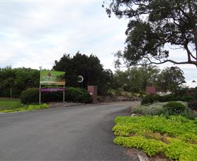 Abundance Lifestyle And Garden - Winery Find 2