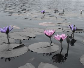 Abundance Lifestyle And Garden - Winery Find 8