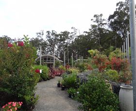 Abundance Lifestyle And Garden - Winery Find 6