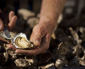 Food, Wine And Farmers Gate Journey On The Legendary Pacific Coast - Winery Find 2