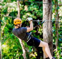 TreeTop Challenge Currumbin - Winery Find