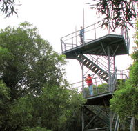 Cape Hawke lookout - Winery Find