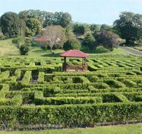 Amaze n Place - Winery Find
