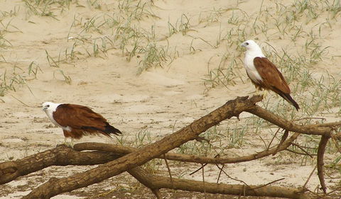 Broadwater National Park - Winery Find 2